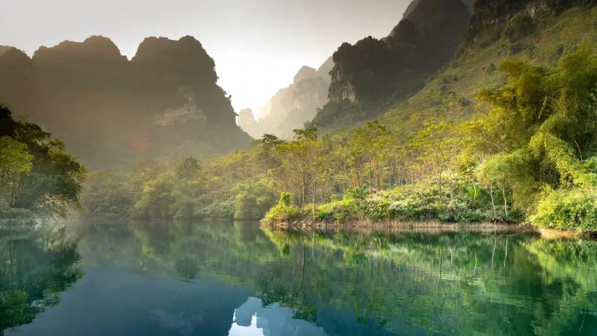 智能系统科技